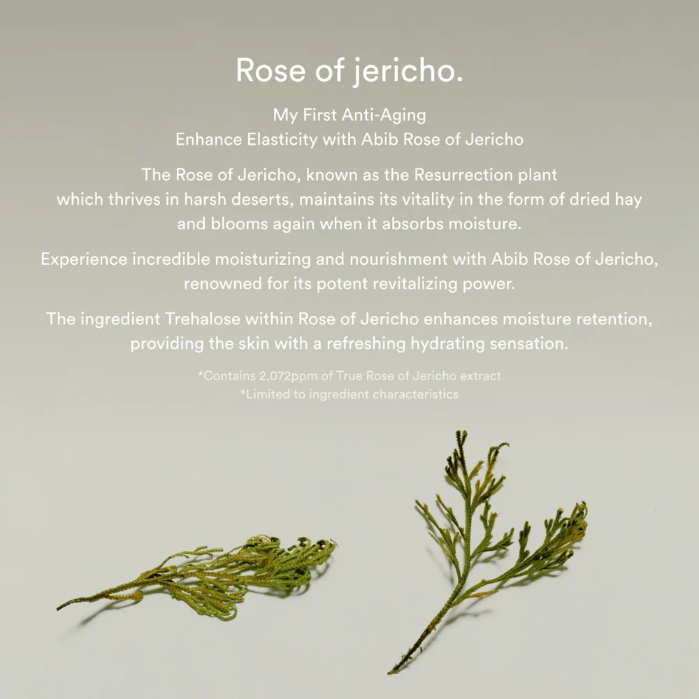Jericho Rose Bifida Serum Firming Drop 50ml - Image 4